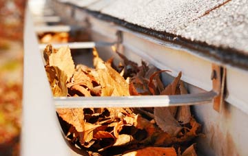 East Lavant gutter cleaning companies